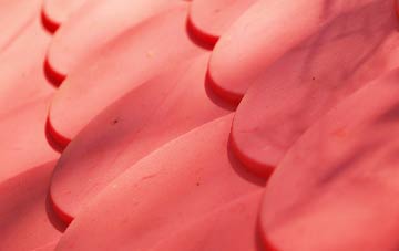 Pettaugh plastic roof costs