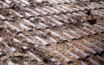 Pettaugh roof cleaning companies